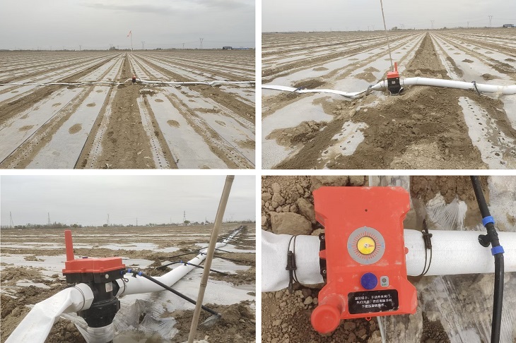 1745209418929765.jpg 101.jpg