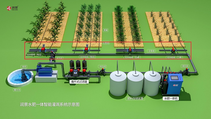 1755150322865253.jpg 201.jpg