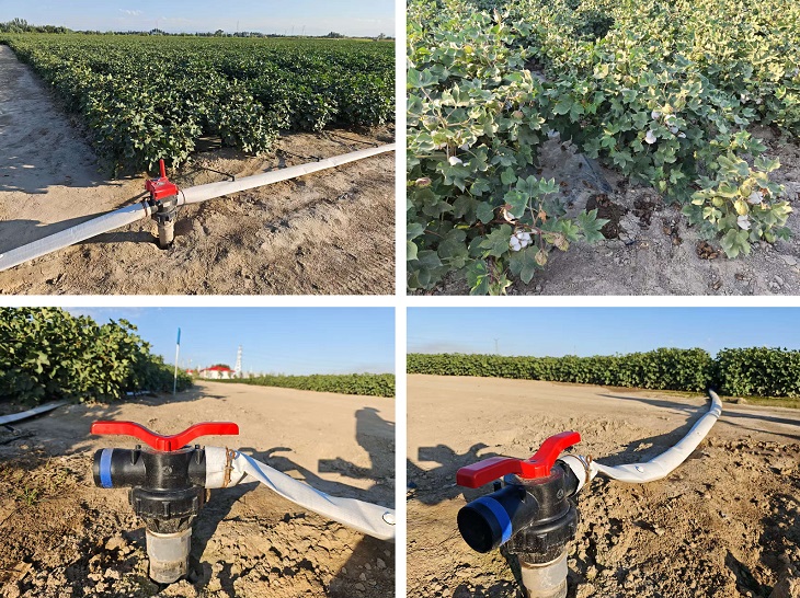 1755150356409167.jpg 301.jpg