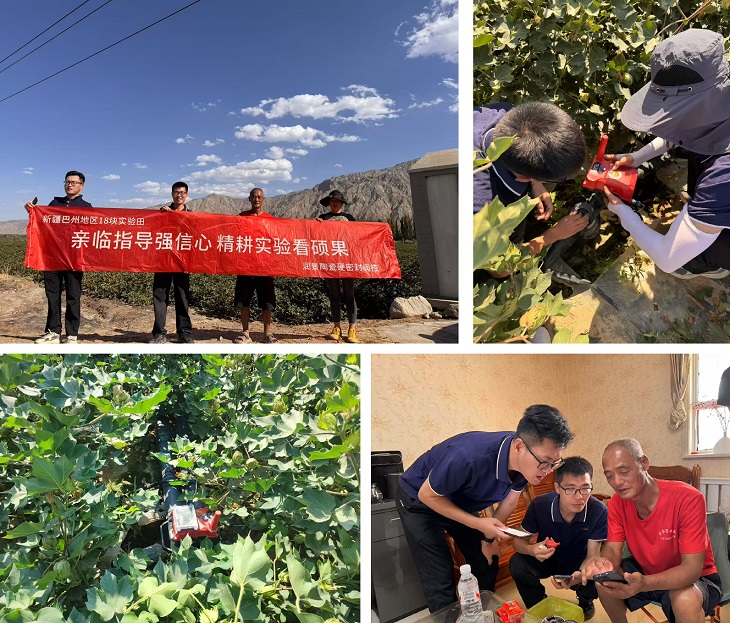 1755150568194451.jpg 601.jpg