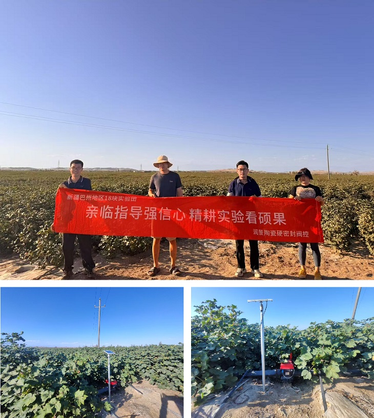 1755150594948174.jpg 701.jpg