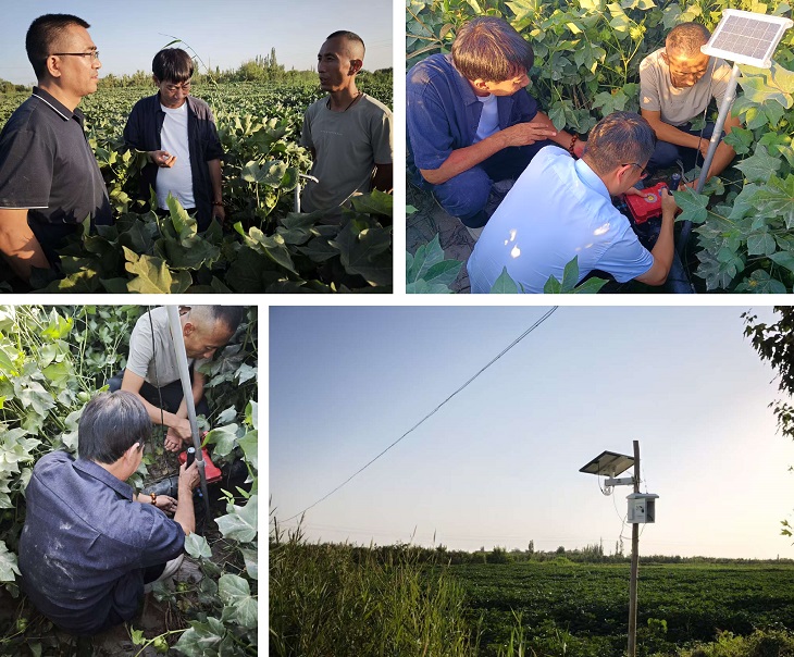 1755150616064583.jpg 801.jpg