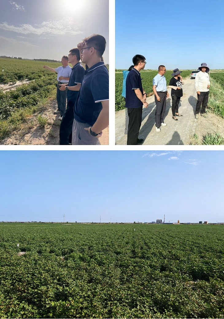 1755150676882339.jpg 1001.jpg