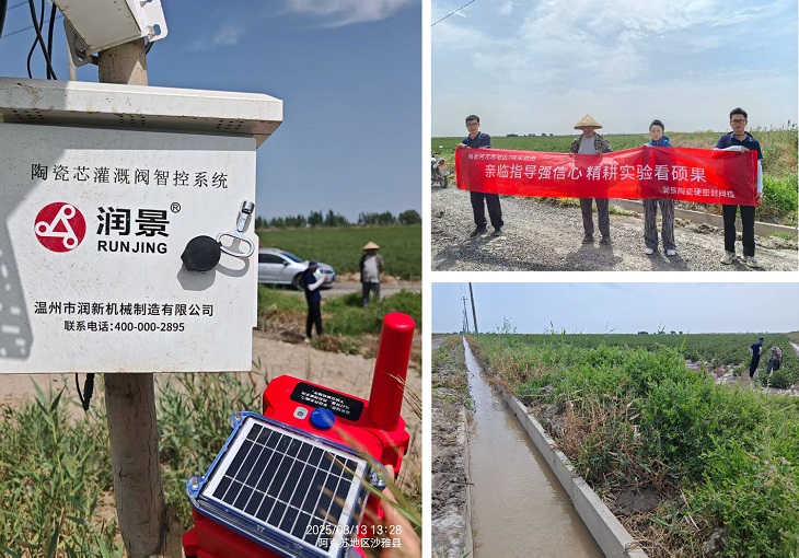 1755150699019879.jpg 1101.jpg