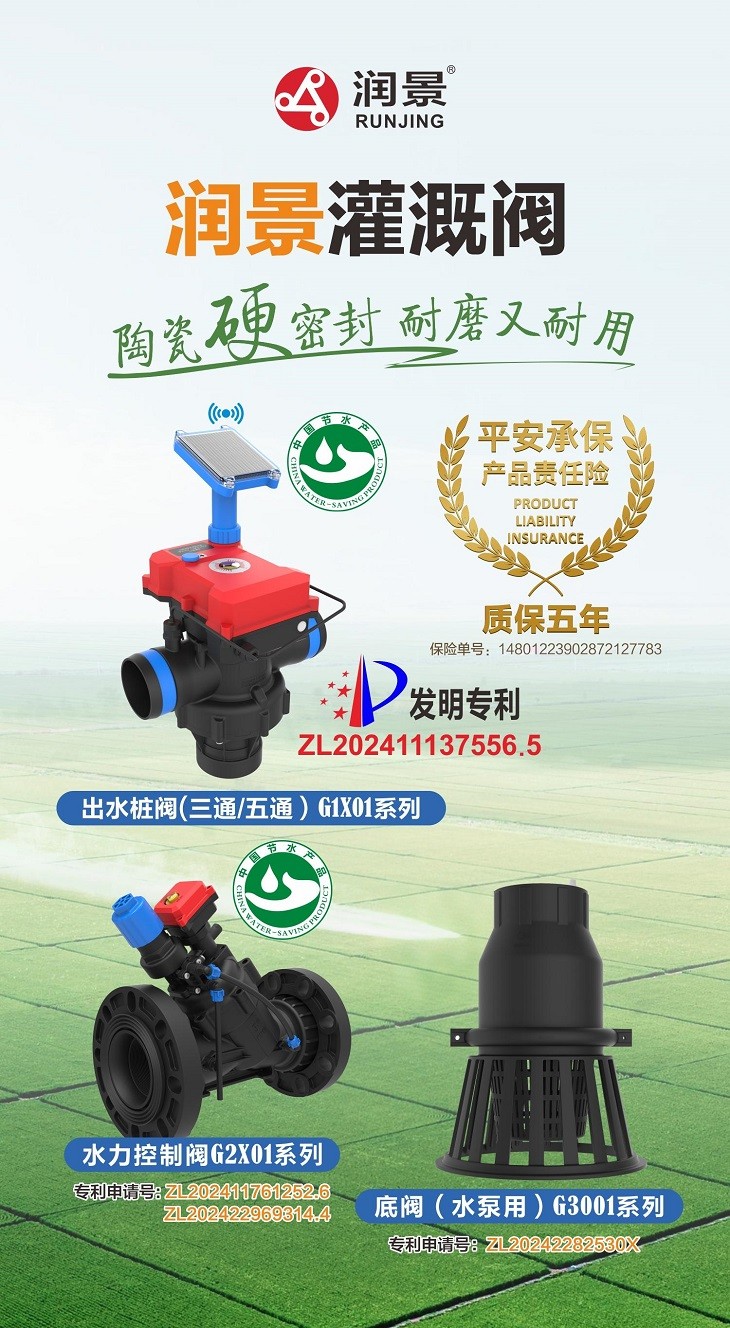 1755826127059312.jpg 501.jpg