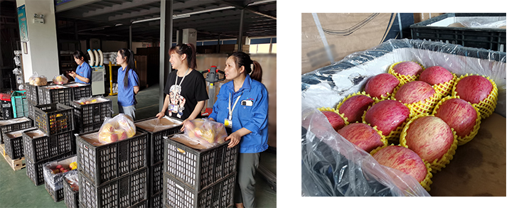 1621587140154802.jpg 701.jpg