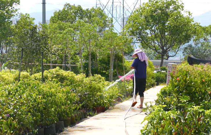 1660722563372281.jpg 101.jpg