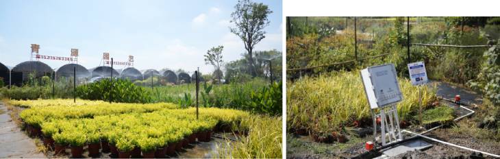 1660722575984465.jpg 201.jpg