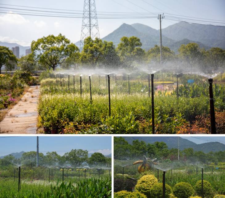 1660722587591423.jpg 301.jpg