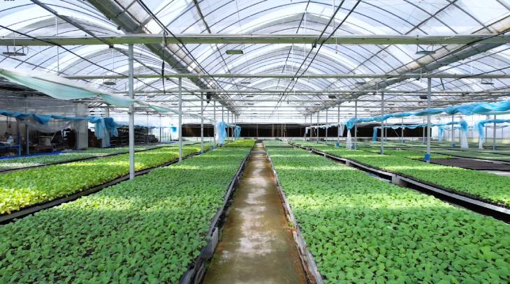 1662707573630474.jpg 102.jpg