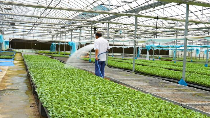 1662707595625732.jpg 201.jpg