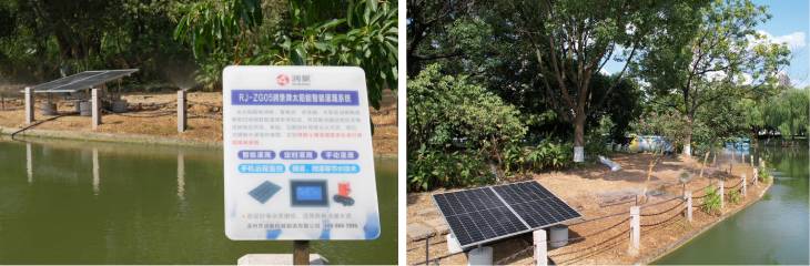 1671522077698858.jpg 601.jpg