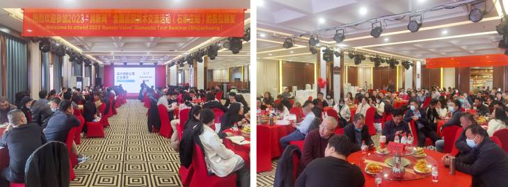 1678408587933030.jpg 101.jpg