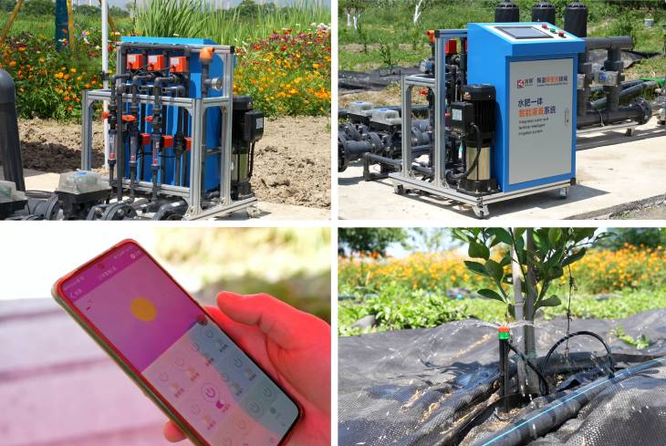 1685909447767318.jpg 201.jpg