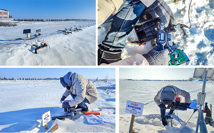 1702628523272951.jpg 101.jpg