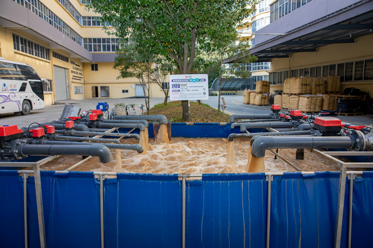 1702628578110142.jpg 501.jpg