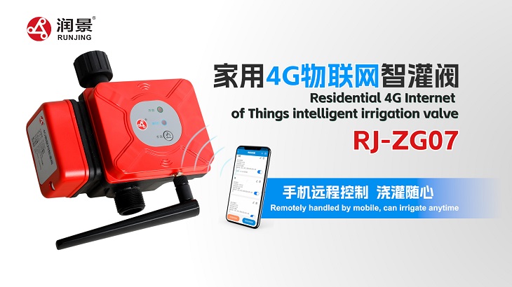 1709340665941721.jpg 801.jpg